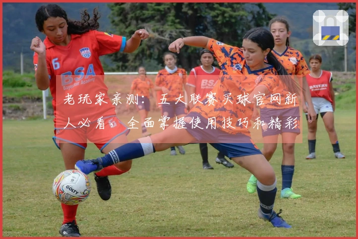 老玩家亲测：五大联赛买球官网新人必看，全面掌握使用技巧和精彩体验