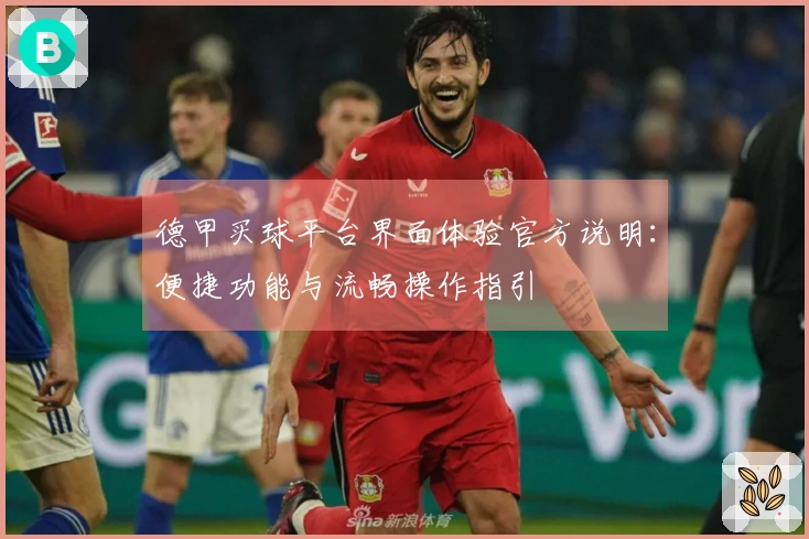 德甲买球平台界面体验官方说明：便捷功能与流畅操作指引