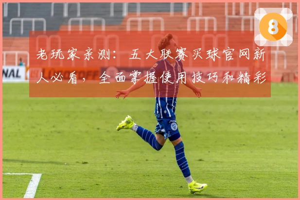 老玩家亲测：五大联赛买球官网新人必看，全面掌握使用技巧和精彩体验