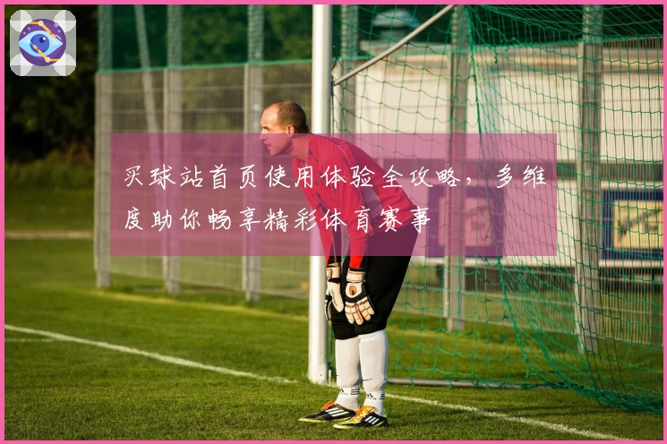 买球站首页使用体验全攻略，多维度助你畅享精彩体育赛事