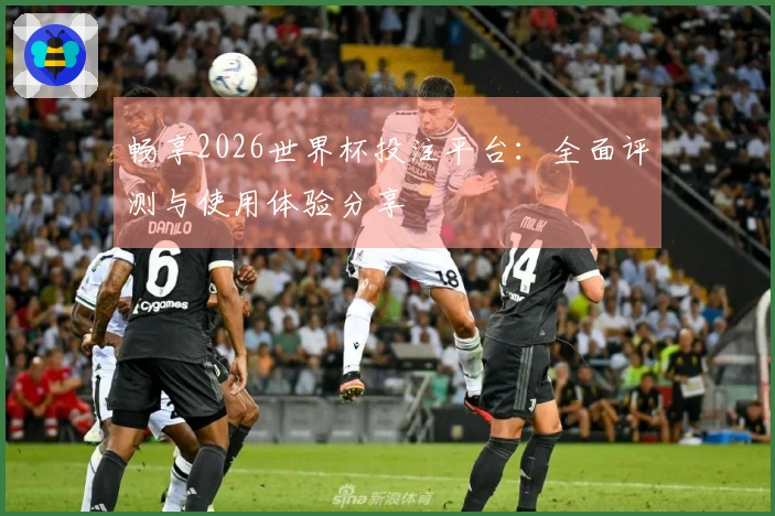 畅享2026世界杯投注平台：全面评测与使用体验分享