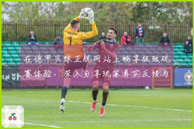 在德甲买球正规网站上畅享极致观赛体验，深入分享玩家真实反馈与使用感受